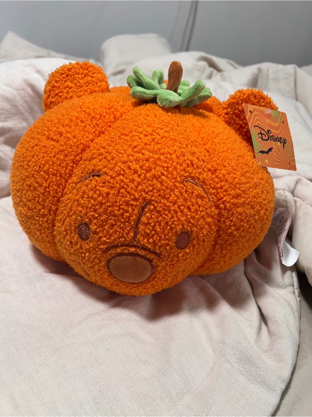 Aldi x Disney WINNE THE POOH Pumpkin 10” Plush Pillow Viral Halloween Fall 2026